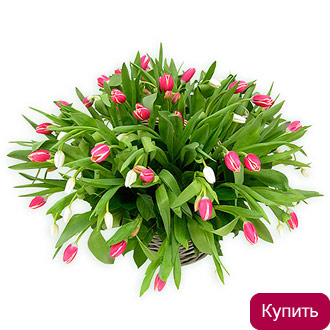 Корзина тюльпанов