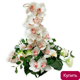 Композиция Баттерфляй
