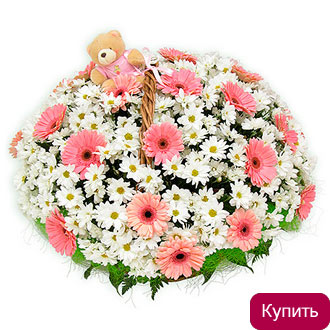 Летняя прогулка