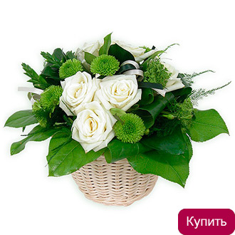 Корзина Недотрога