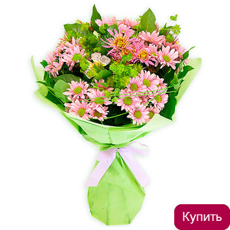 Букет розовые хризантемы